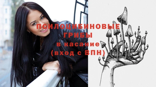 ПСИЛОЦИБИНОВЫЕ ГРИБЫ Алексеевка